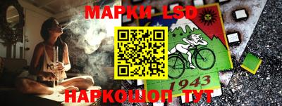 дживик Кандалакша