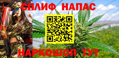 дживик Кандалакша