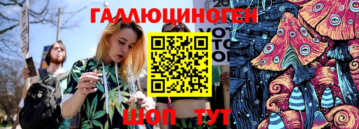 Псилоцибиновые грибы прущие грибы  Галлюциногенные грибы GOLDEN TEACHER  Курчалой  где найти наркотики  Вход с VPN 